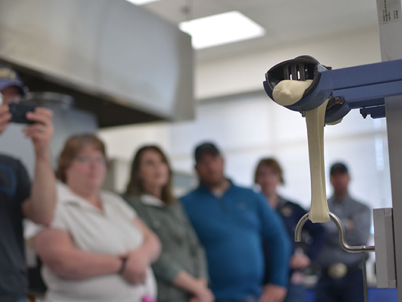 Gluten Quality Testing with the Extensograph