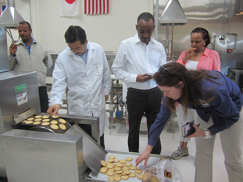 Ethiopian Millers