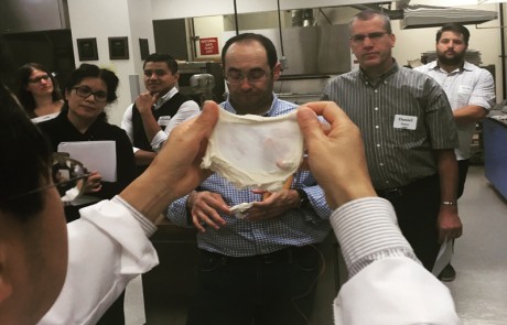 Checking gluten formation in WMC bake lab