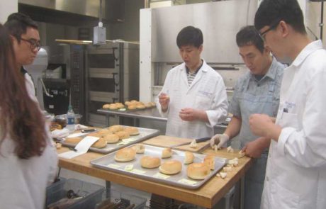 Final Evaluation of Bagels at WMC